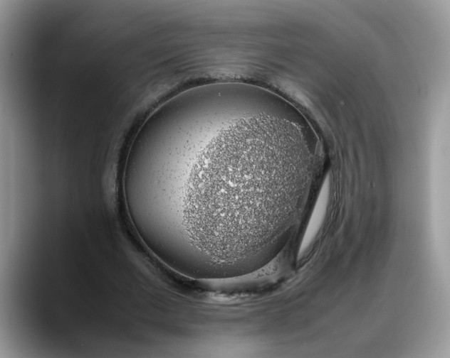 X0000088230677200705292134