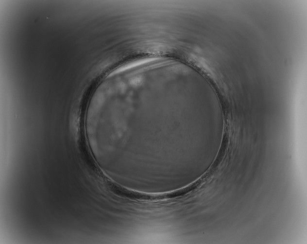 X0000088230679200705292134