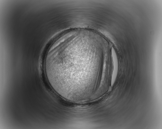 X0000088230680200705292134