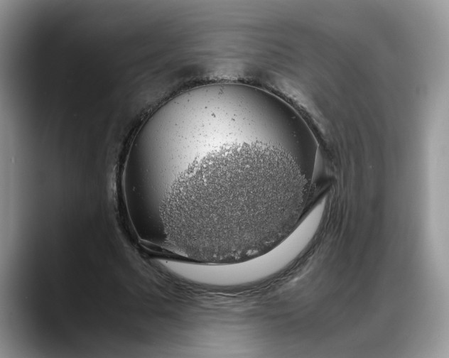 X0000088230681200705292134