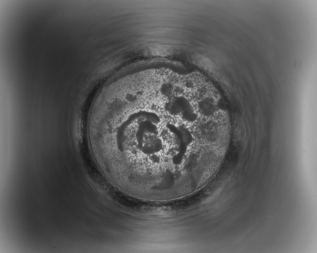 X0000088230683200705292134