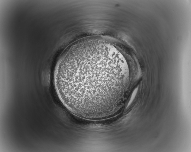 X0000088230685200705292134