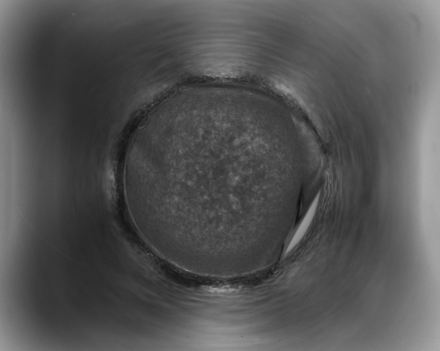 X0000088230688200705292134