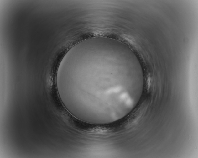 X0000088230691200705292134