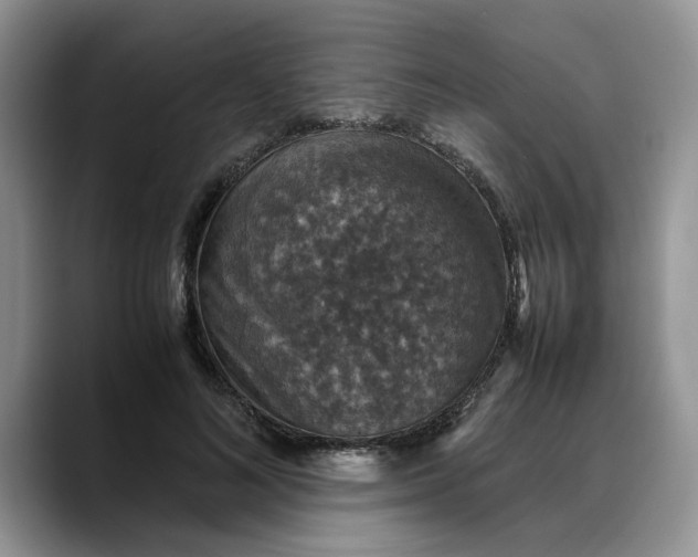 X0000088230692200705292134