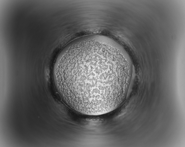 X0000088230693200705292134