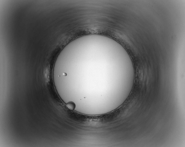 X0000088230694200705292134