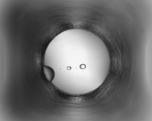 X0000088230698200705292134