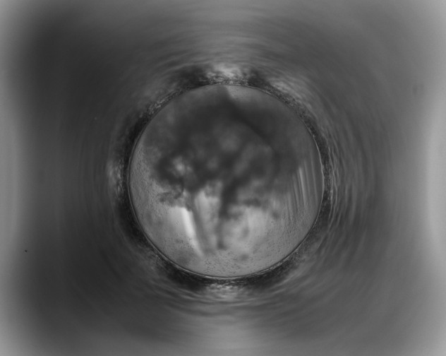 X0000088230699200705292134