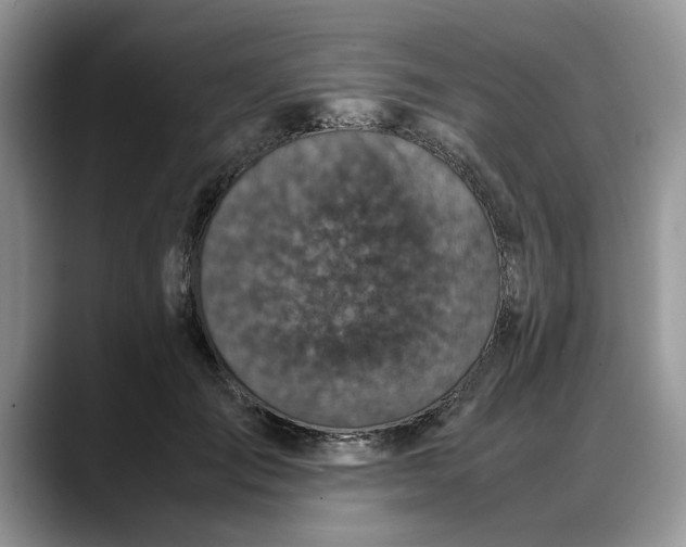 X0000088230701200705292134