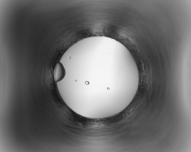 X0000088230702200705292134