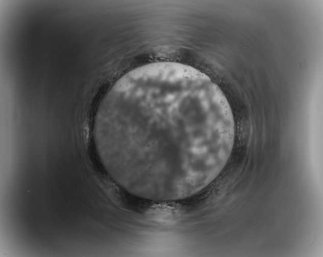 X0000088230703200705292134