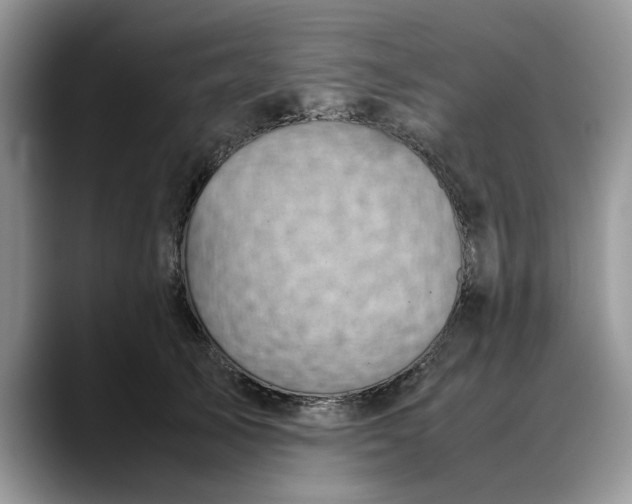 X0000088230705200705292134