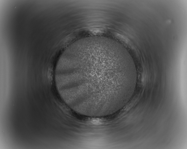 X0000088230710200705292134