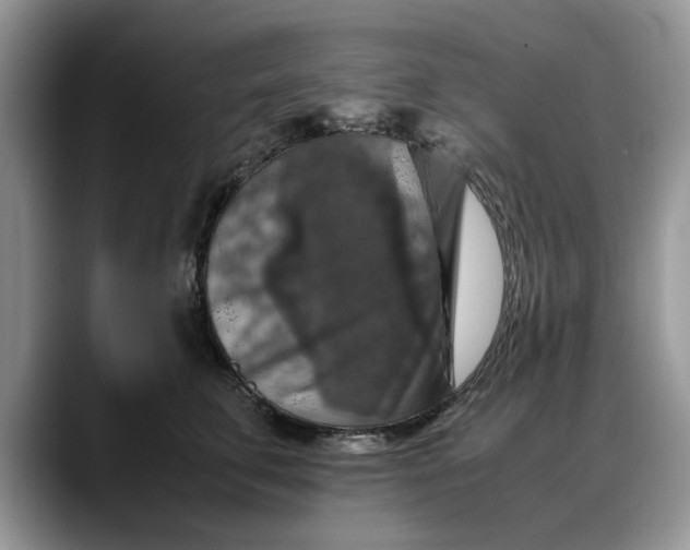 X0000088230711200705292134