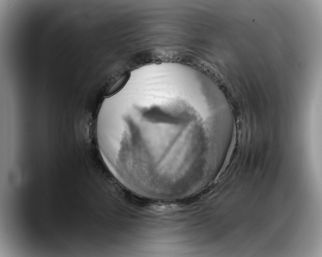 X0000088230712200705292134