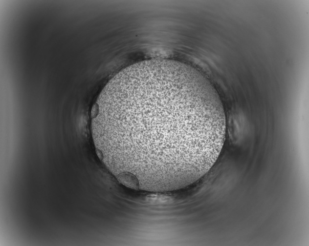 X0000088230714200705292134