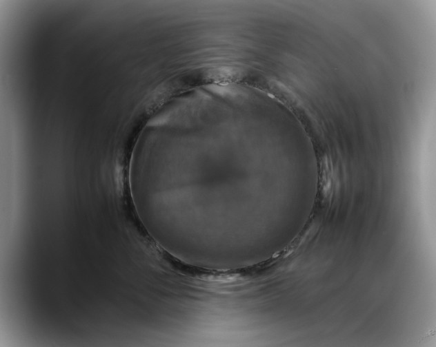X0000088230716200705292134