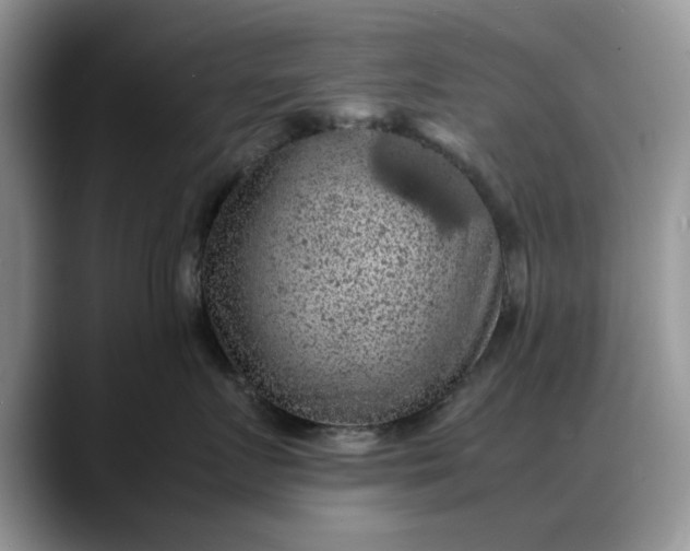 X0000088230719200705292134