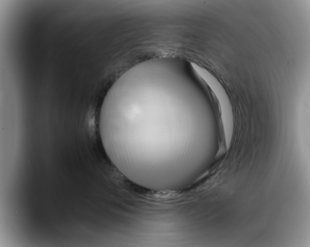 X0000088230720200705292134