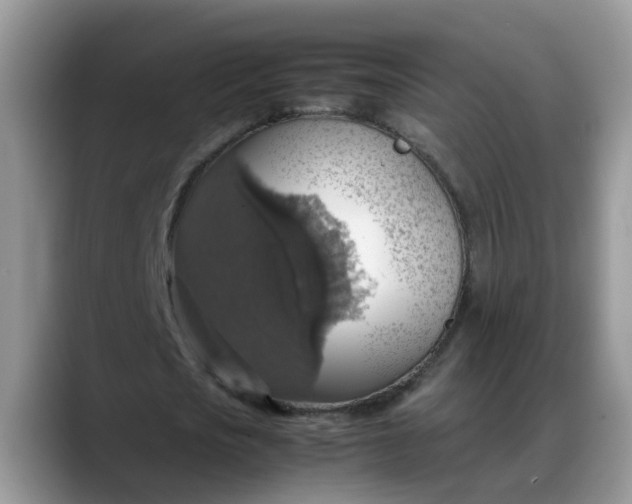 X0000088230721200705292133