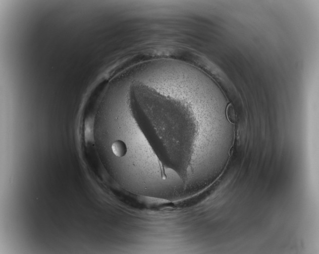 X0000088230722200705292133