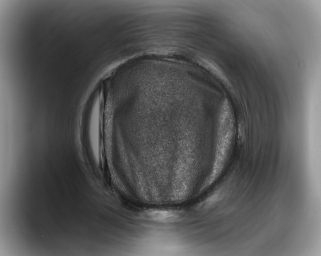 X0000088230724200705292133