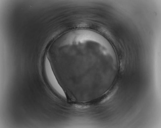 X0000088230725200705292133