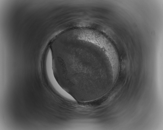 X0000088230727200705292133