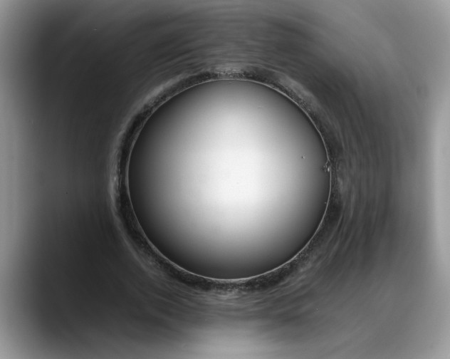 X0000088230728200705292133