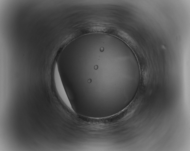 X0000088230729200705292133