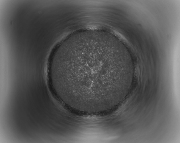 X0000088230730200705292133