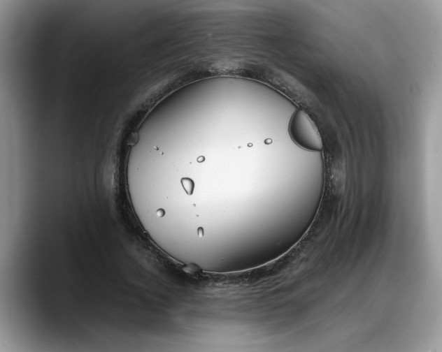 X0000088230732200705292133