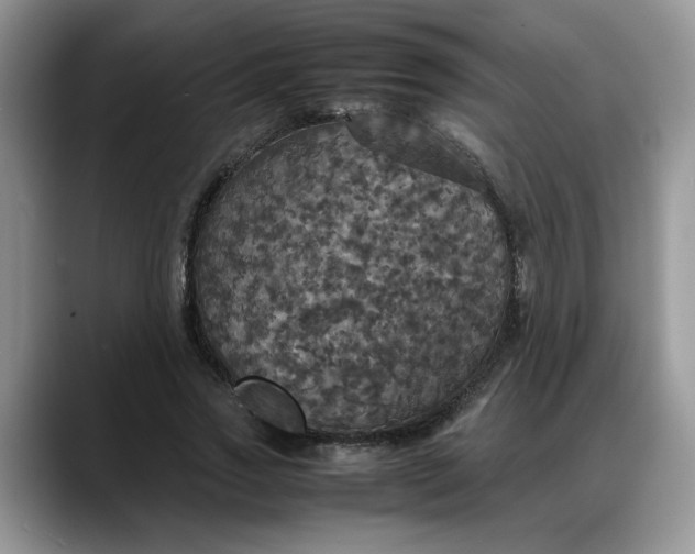 X0000088230733200705292133