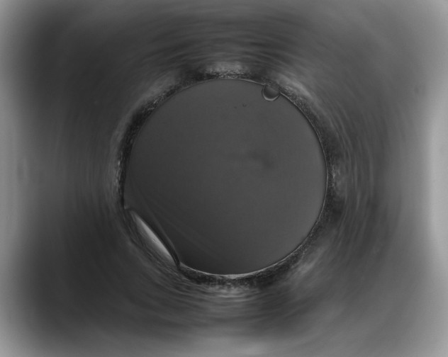 X0000088230735200705292133