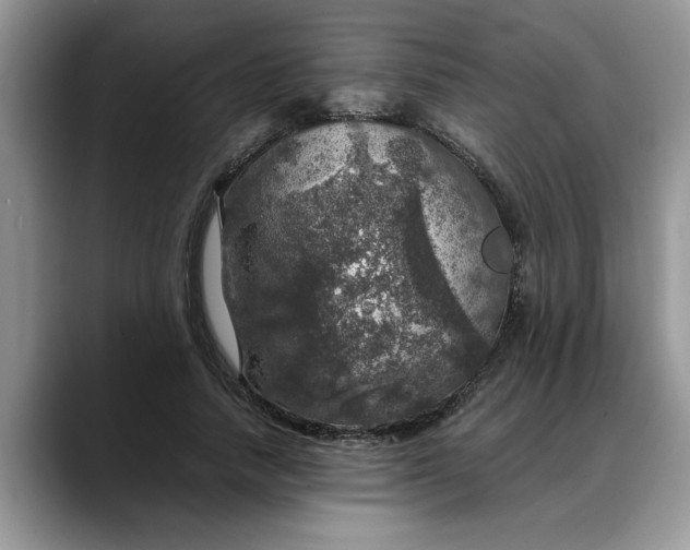 X0000088230738200705292133