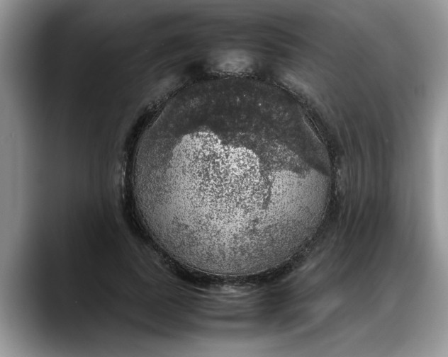 X0000088230739200705292133