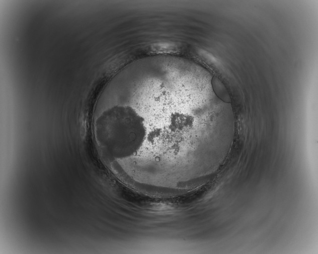 X0000088230741200705292133