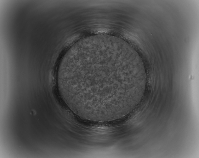 X0000088230743200705292133