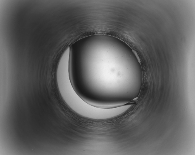 X0000088230744200705292133