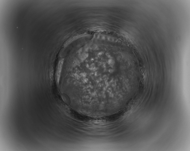 X0000088230745200705292133