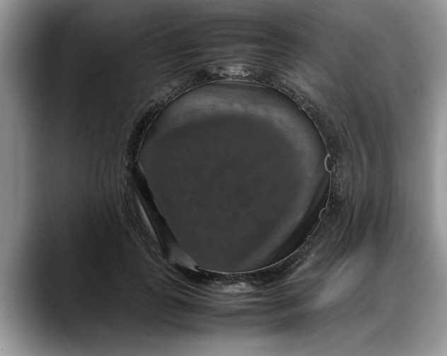 X0000088230747200705292133