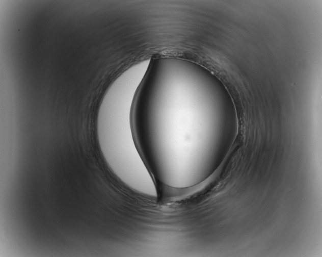 X0000088230748200705292133