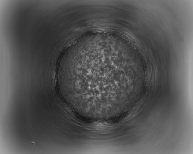 X0000088230749200705292133