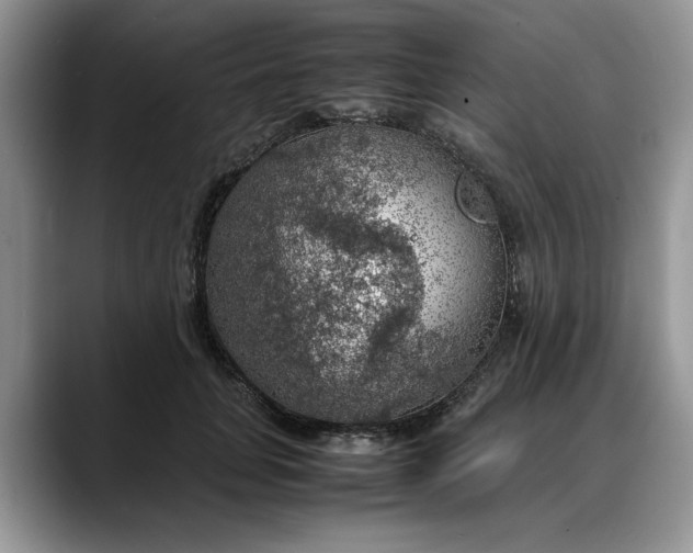 X0000088230751200705292133