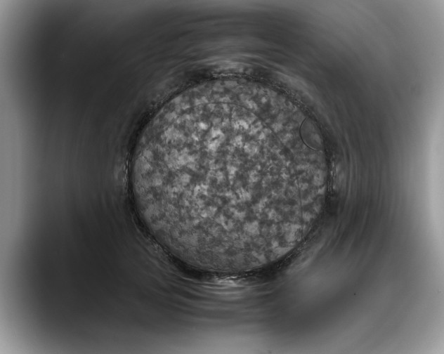 X0000088230753200705292133