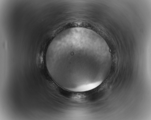 X0000088230754200705292133