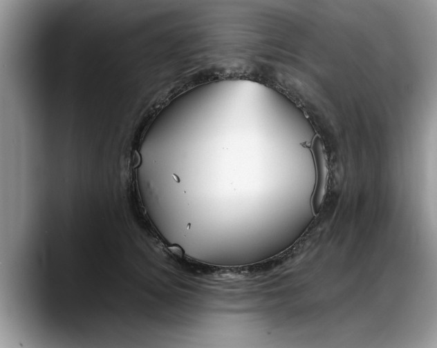 X0000088230756200705292134