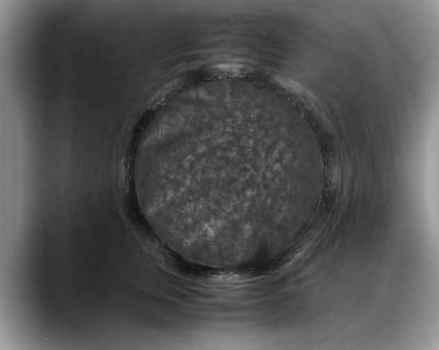 X0000088230759200705292134