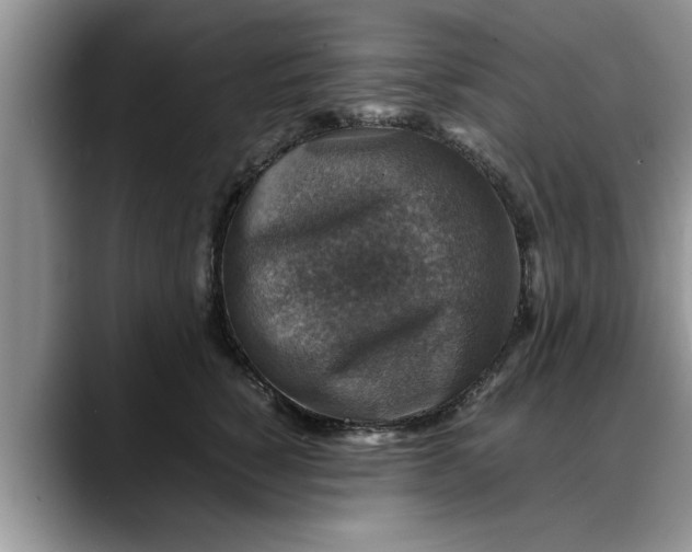 X0000088230760200705292134